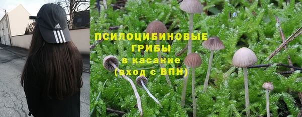 марки nbome Пересвет