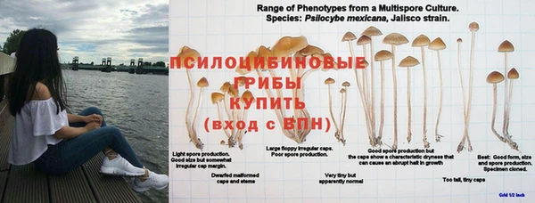 эйфоретик Приозерск