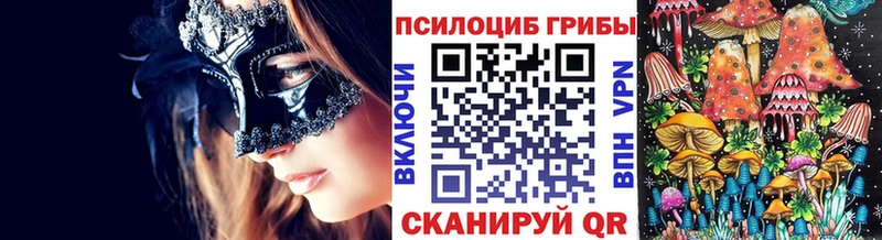 Купить где  Ардон  Псилоцибиновые грибы Cubensis 